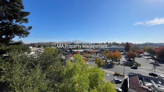 Building Photo - Downtown Walnut Creek! 3rd floor 2 master ...