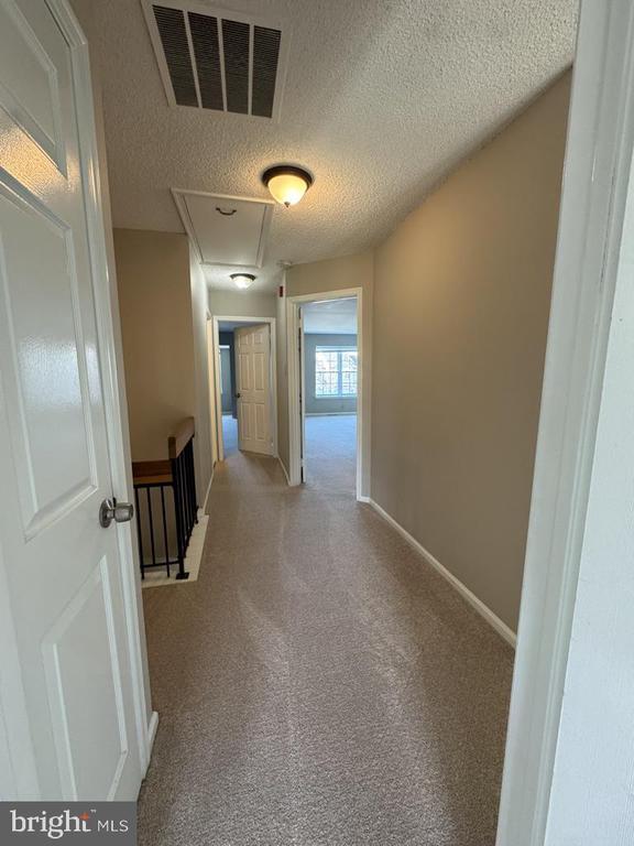 Building Photo - 25 Sequoia Dr