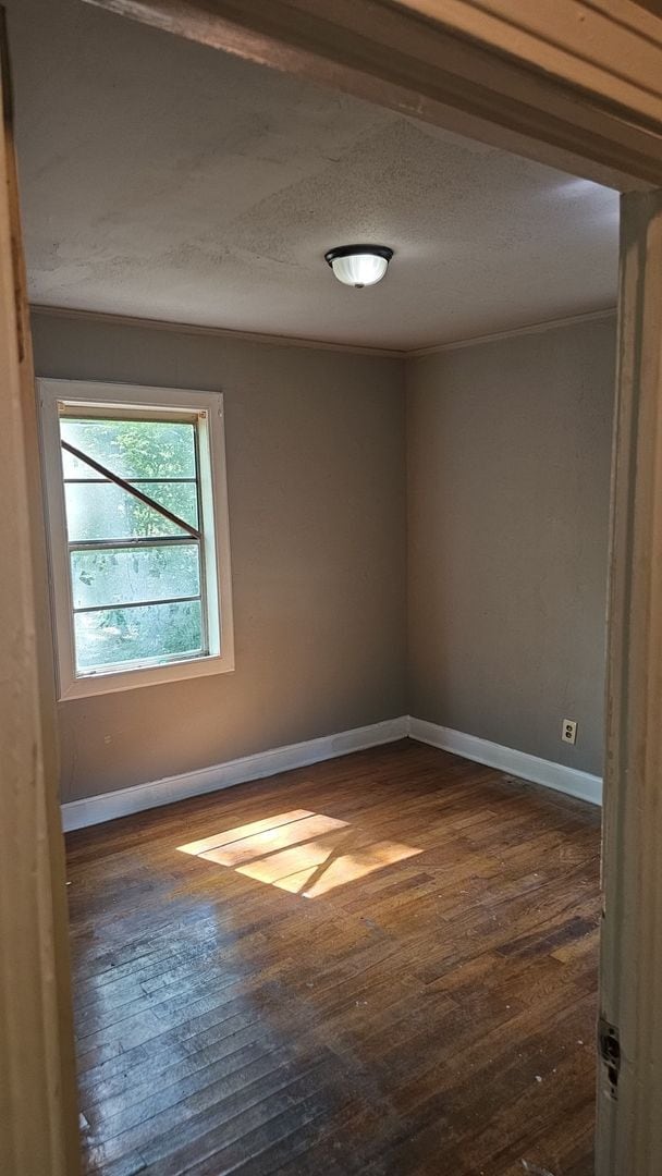 Building Photo - NOW AVAILABLE!! COME SEE ME!