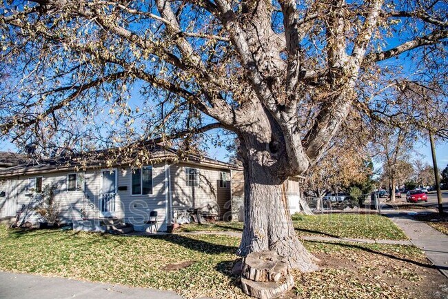 Primary Photo - 891 Egbert St