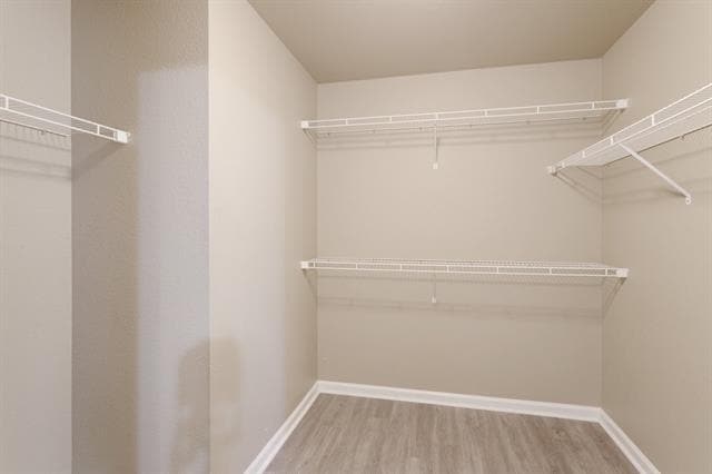 Building Photo - 1005 Live Oak Dr