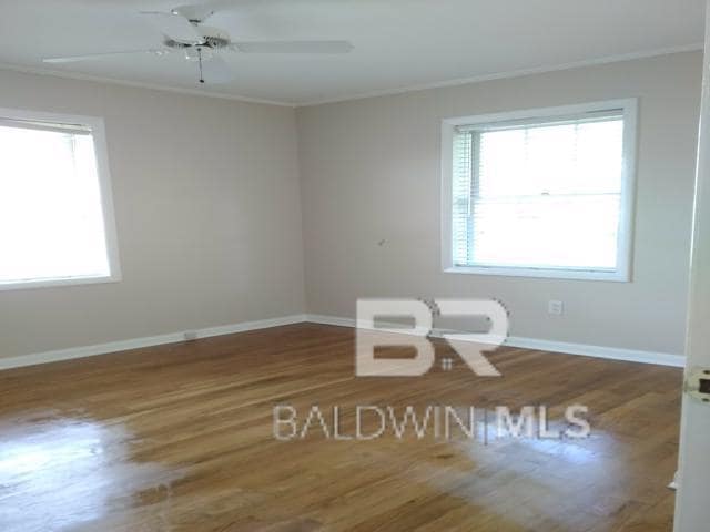 Building Photo - 25 Laurel Ave