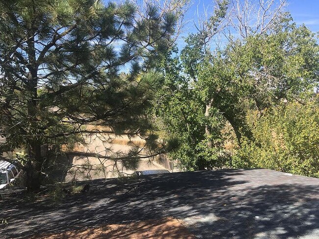 Building Photo - 515 Bellevue Pl