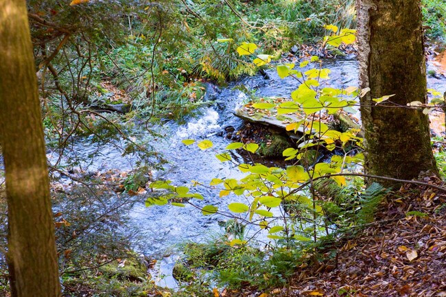 Building Photo - 525 Townsand Hollow Rd