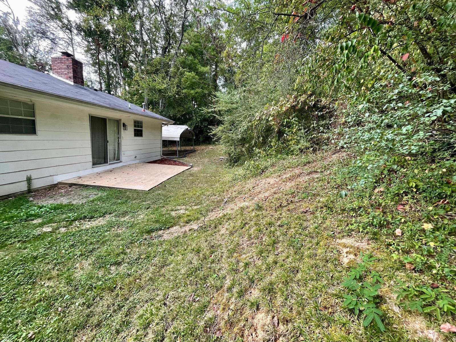 Back Yard - 1936 Ashmore Ave