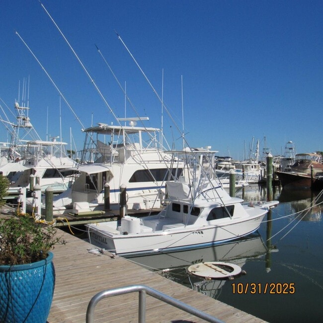 Building Photo - 2050 Oleander Blvd