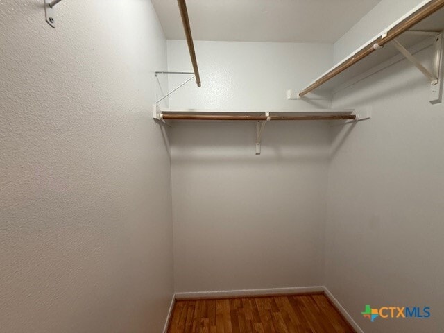 Building Photo - 311 Clydesdale Ln