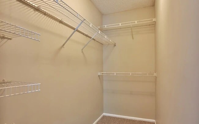 Building Photo - 1221 Loch Lomand Dr