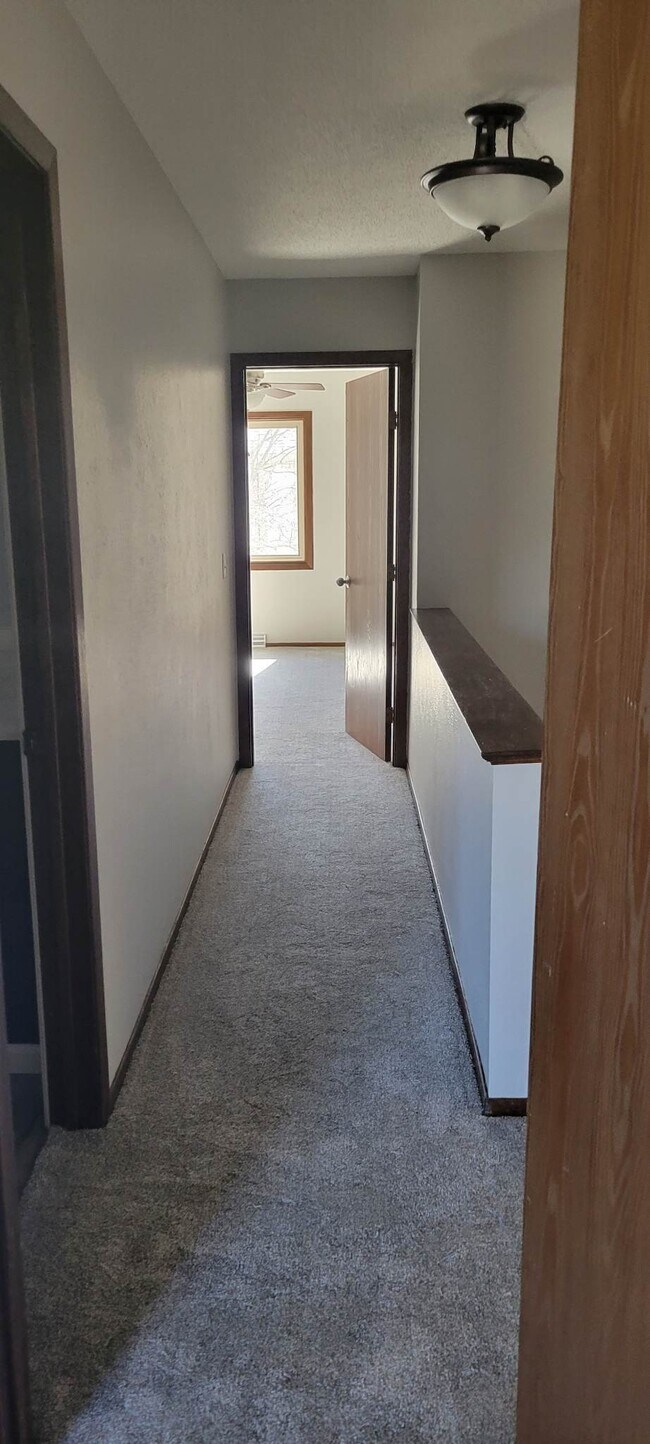 Building Photo - 2512 Plum Leaf Ln