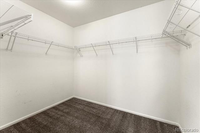 Building Photo - 9811 Marmot Ridge Cir