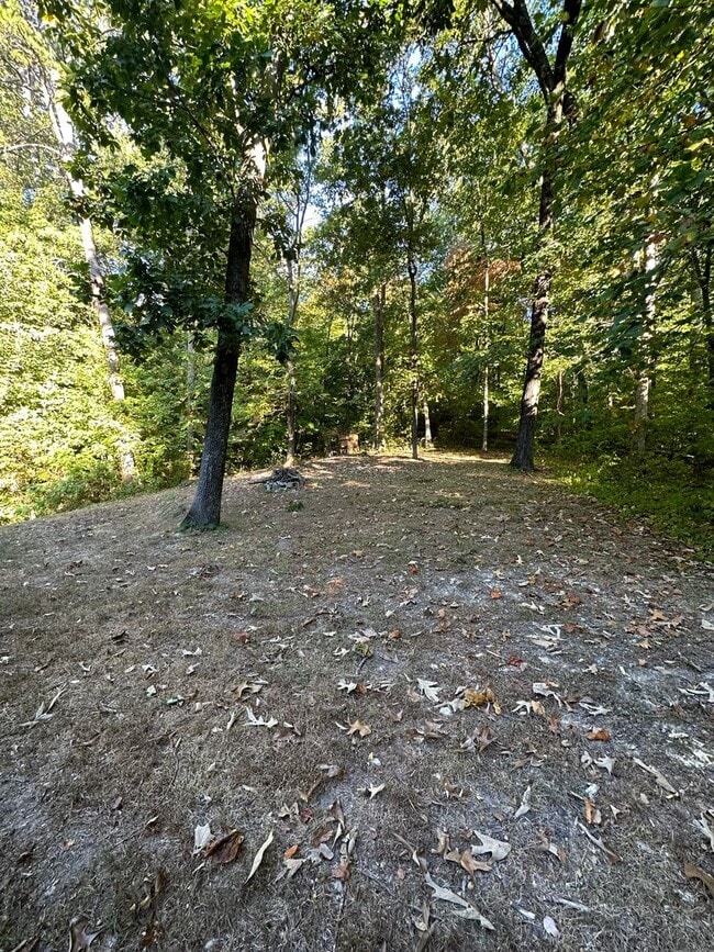Building Photo - Recently Updated 4Bdrm/2bath home!