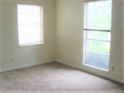 Building Photo - 803 Carmen St