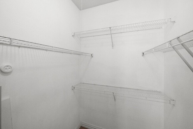 Building Photo - 1654 Ascension Bluff Dr