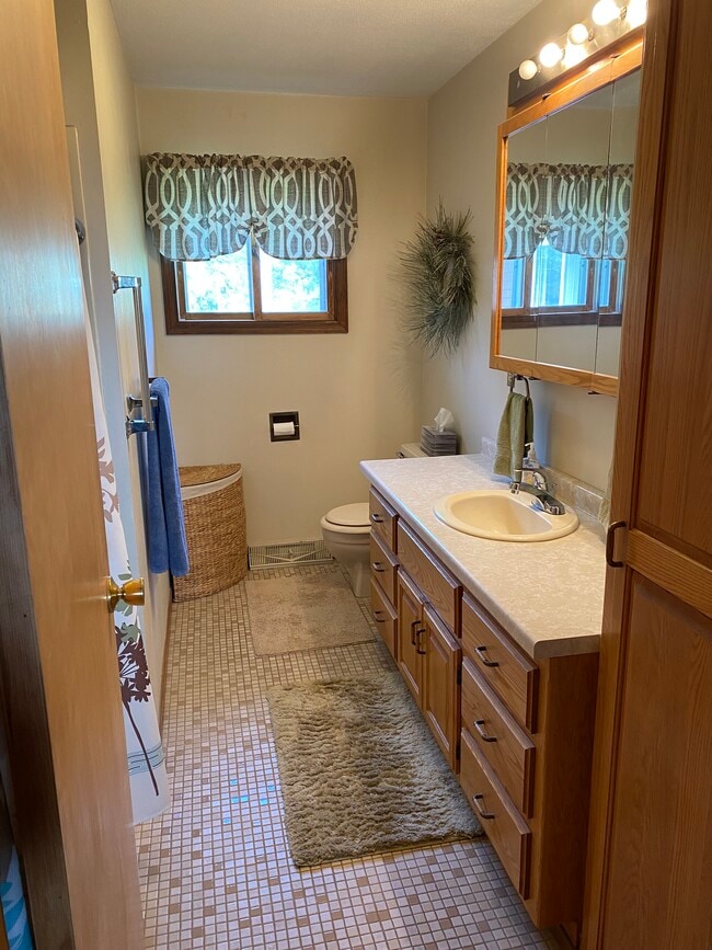 Large Main Bath with tub/shower - 210 Elm Ave S