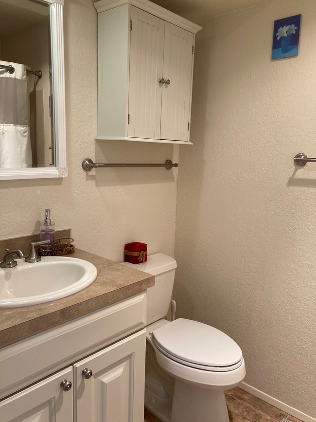 Hall bathroom. Bathtub/shower out of frame. - 6 Lake Bellevue Dr