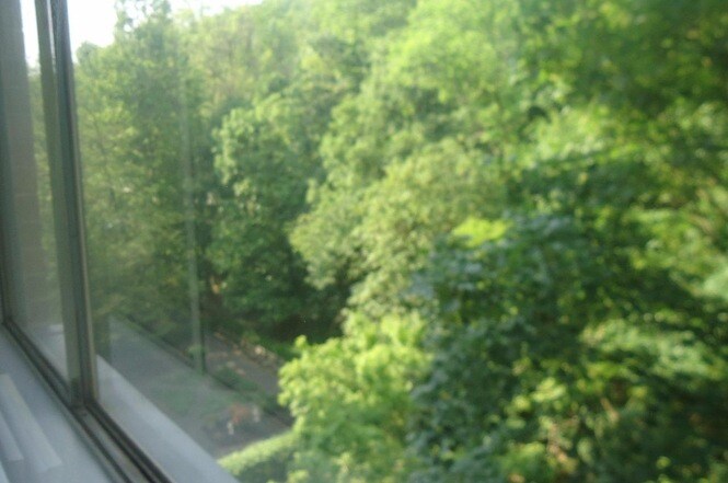 Building Photo - 1517 Hill Rd