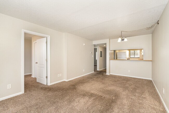 Building Photo - New Renovated Condo