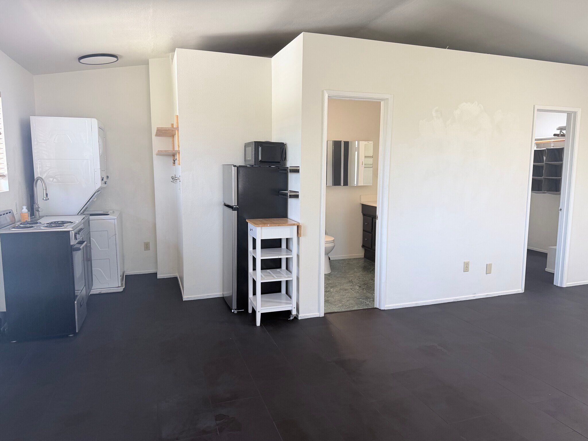 Access to bathroom and closet from main space - 572 Plumosa Ave