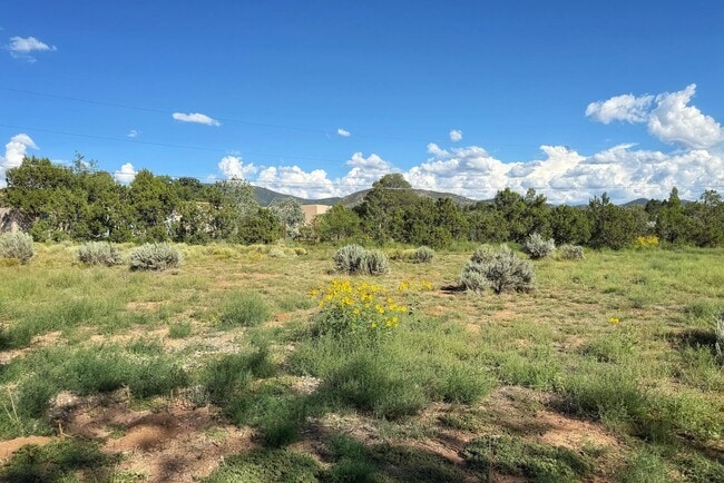 Building Photo - 1325 Don Gaspar Ave