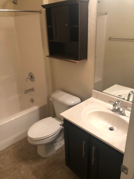 This is the full bathroom in front of the guestroom downstairs - 263 Garden Trellis Ct