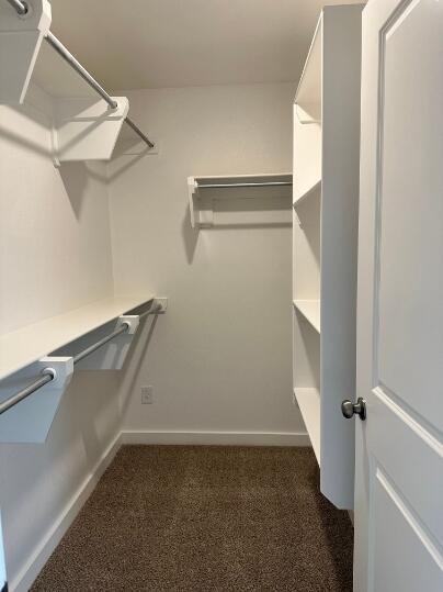 Building Photo - 3410 Urbana Pl