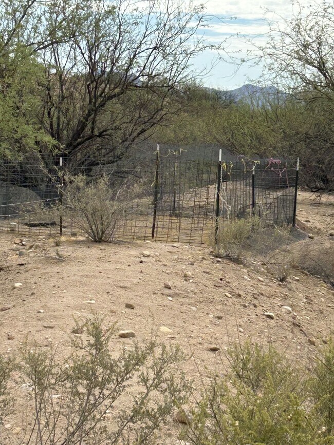 Building Photo - 1805 Desert Tortoise Rd