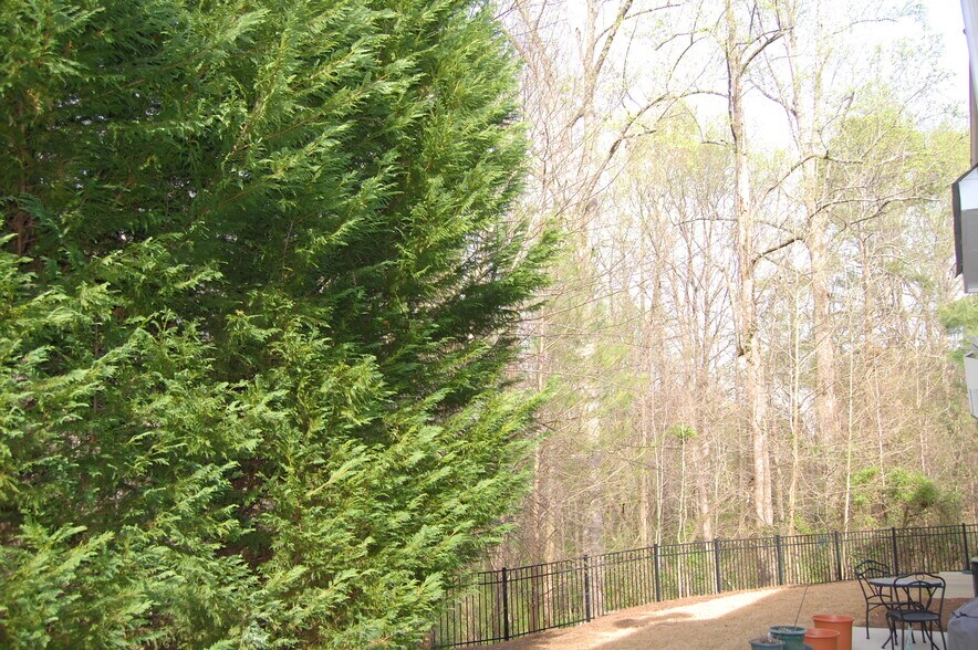 Private Backyard - 1444 Bellsmith Dr