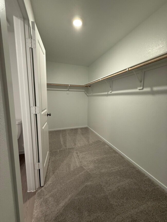 Building Photo - 3093 Fantasy Ter Dr