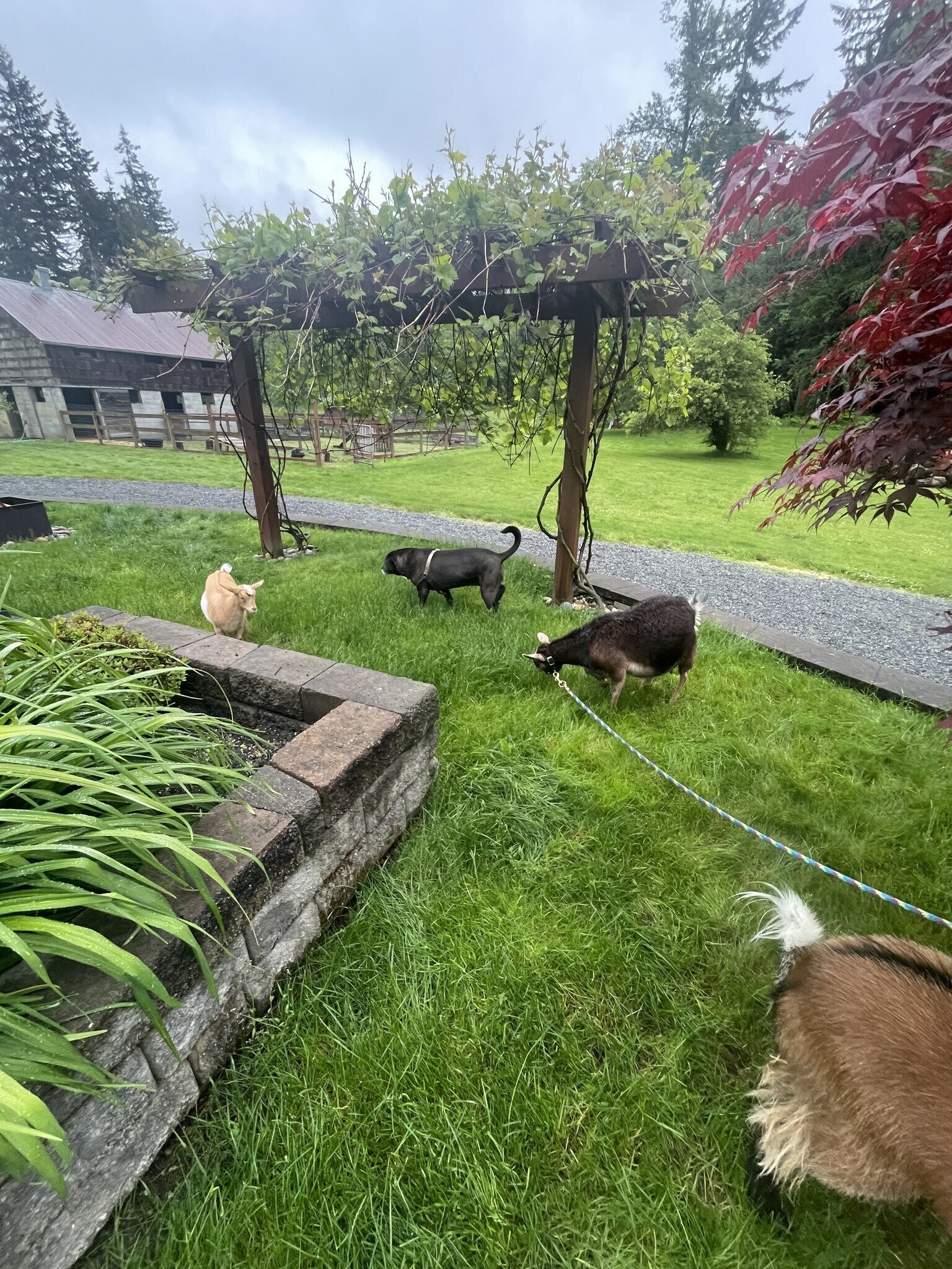 Building Photo - 9600 116th St NE