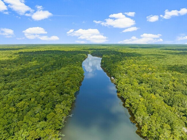 Building Photo - 493 Choctawhatchee River Rd