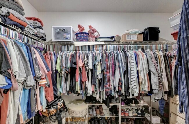 Building Photo - 1531 Lucas Dr