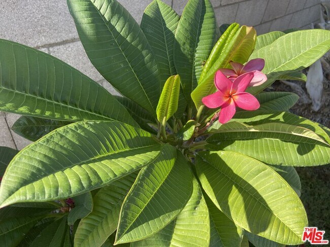 Building Photo - 3743 Mountain Gate