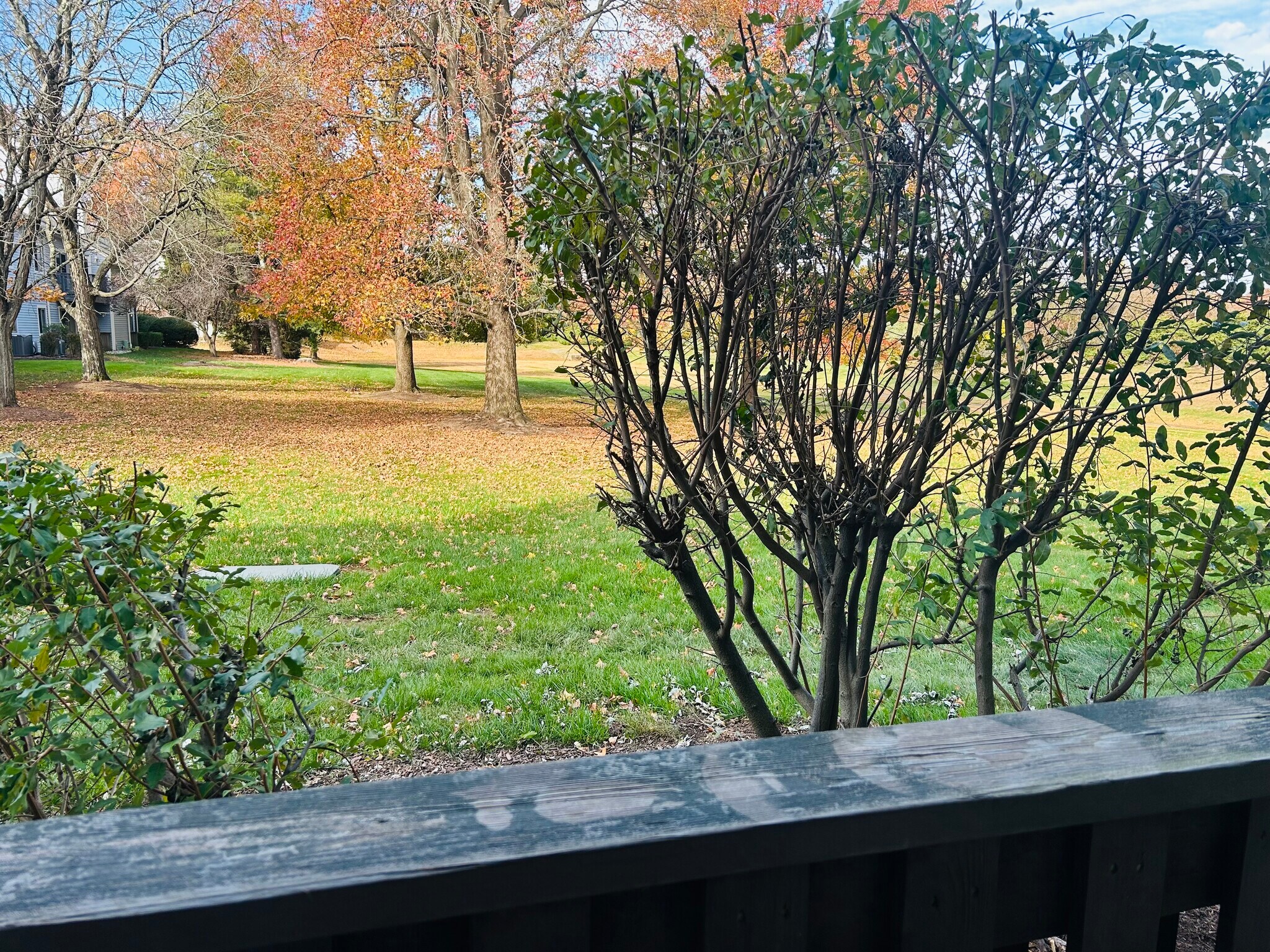 Building Photo - 1914 Aspen Dr