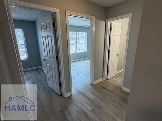 Building Photo - 124 Wayfair Ln