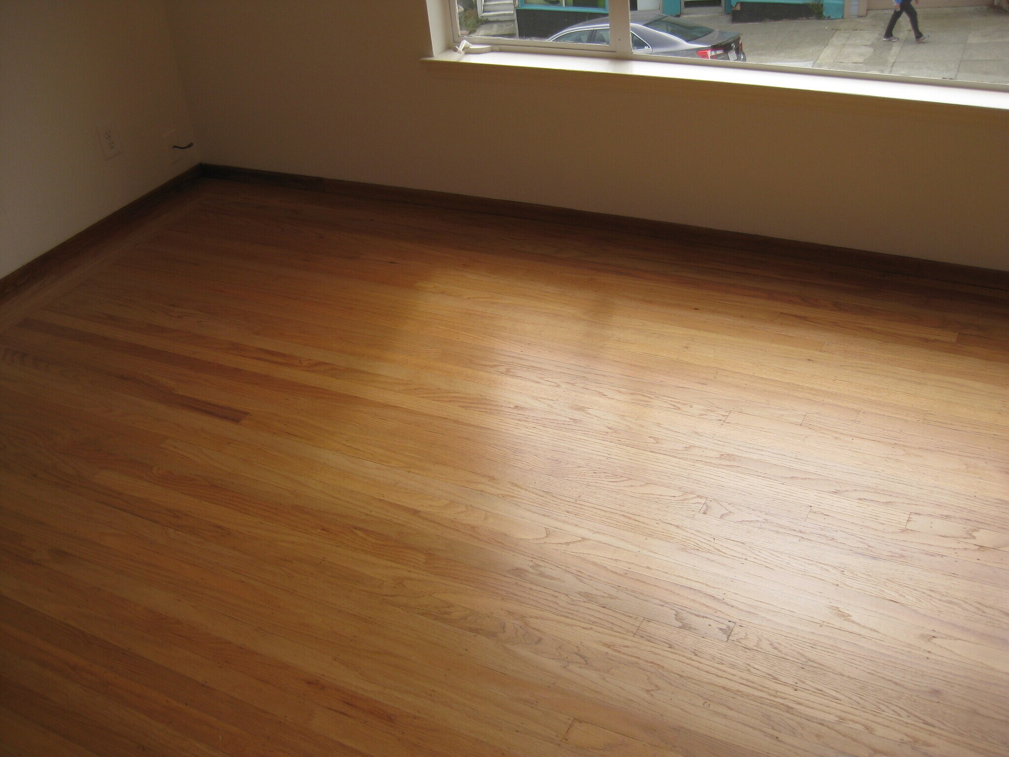 Building Photo - 300 Cortland Ave