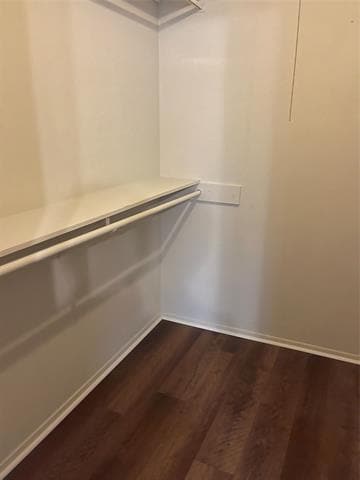 Building Photo - 2905 Lemmontree Ln