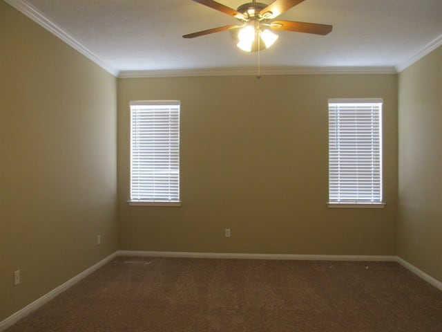 Building Photo - 17507 Whispering Star Ct