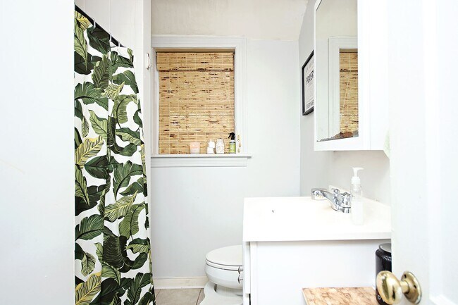 Building Photo - Spacious Fry's Spring Basement Apartment