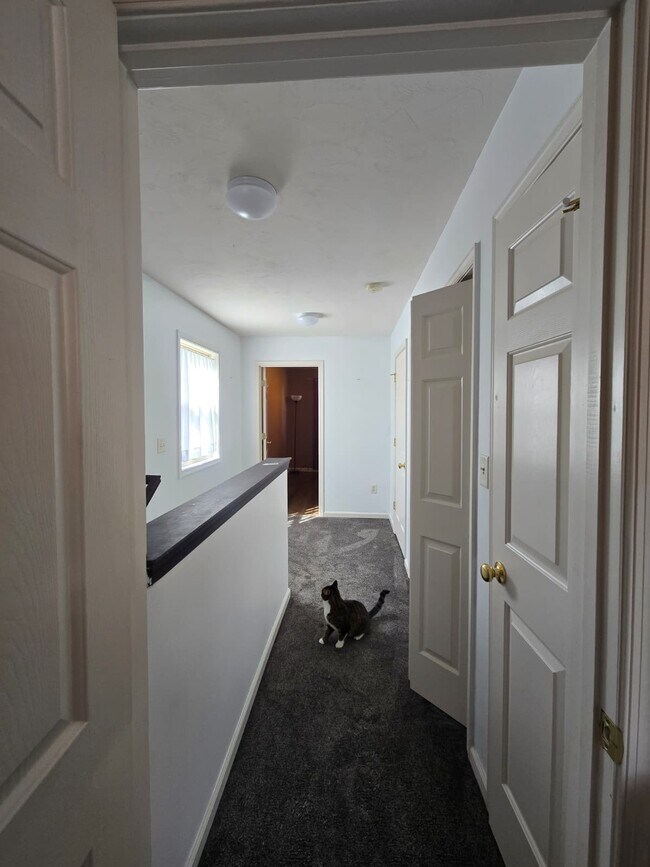 Building Photo - 7565 Stephen Dr