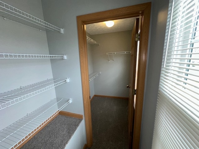 Building Photo - 771 Kollines Ct