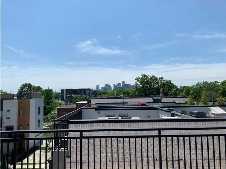Roof Deck View of Downtown - 321 Garfield St