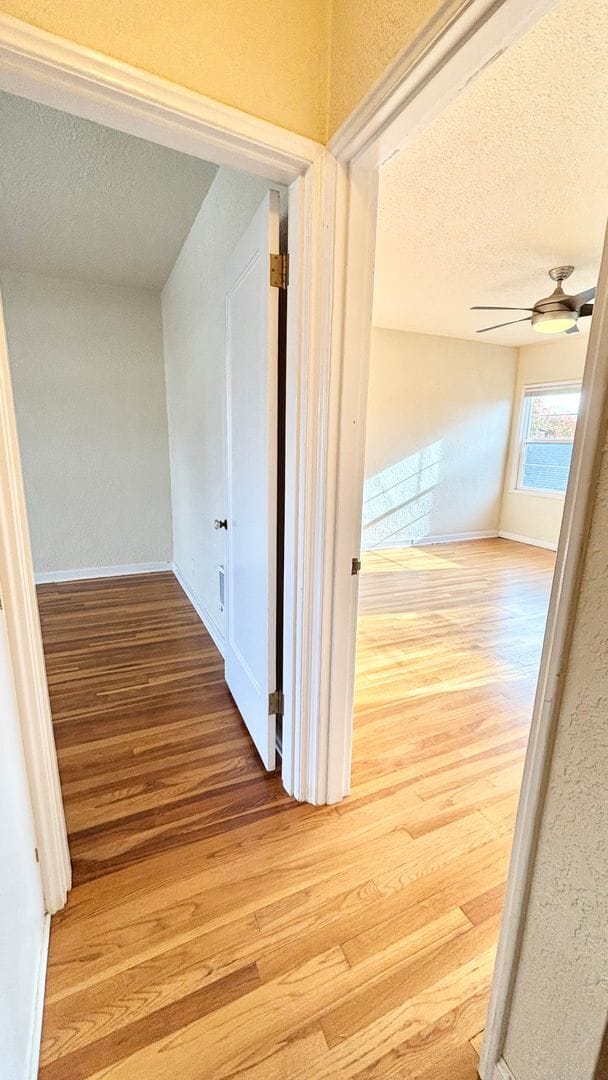 Building Photo - Modern Comfort in the Heart of Hosford Abernethy!