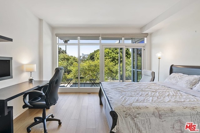 Building Photo - 1705 Ocean Ave