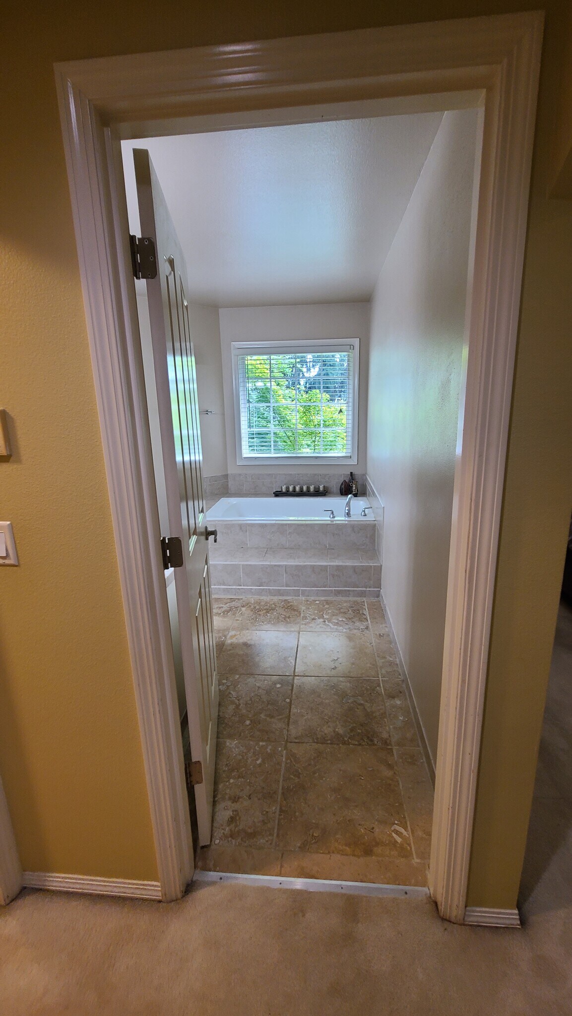 View into Master Bathroom - 13940 SW Secretariet Ln