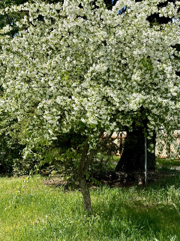 Building Photo - 206 S Madison St