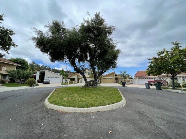 cul de sac - 3027 Oakwood Ln