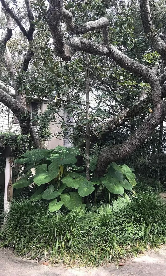 Building Photo - Beautiful 3B/3.5B Waterfront Fully Furnished Home available for Long-Term Rental!