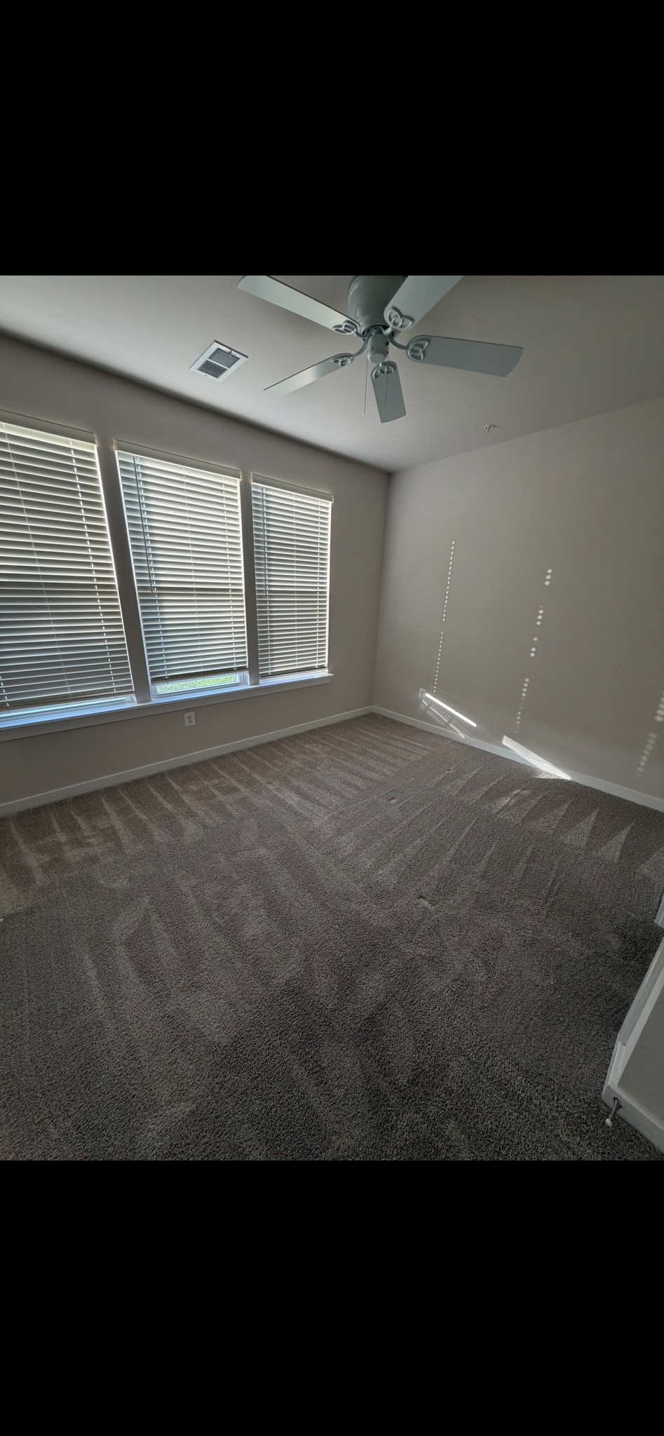 Building Photo - 2560 Nicholson St