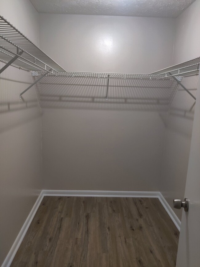 Building Photo - 4502 Mercado Dr
