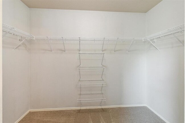Building Photo - 1600 Sugarberry Ln